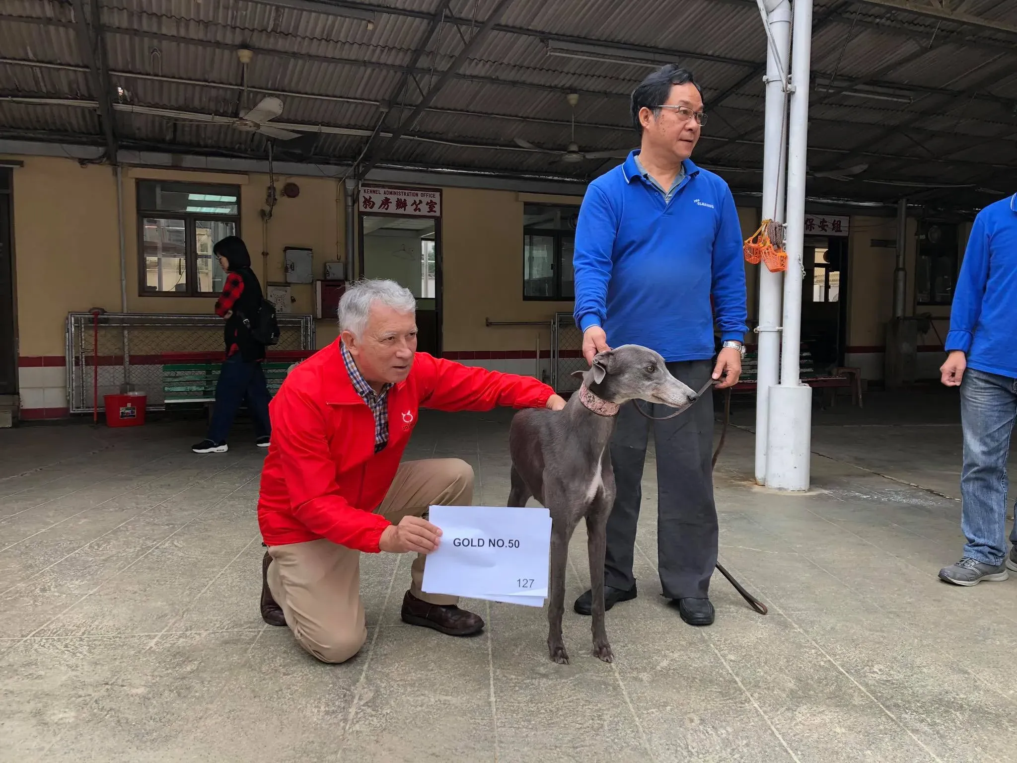 46811593 1801479569986731 5384688086263267328 o