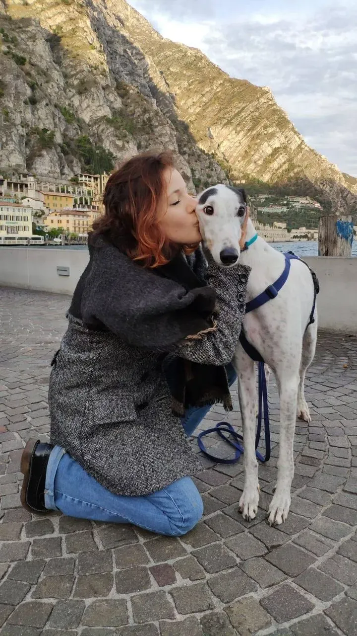 46815737 356450704921288 8687247237983502336 n