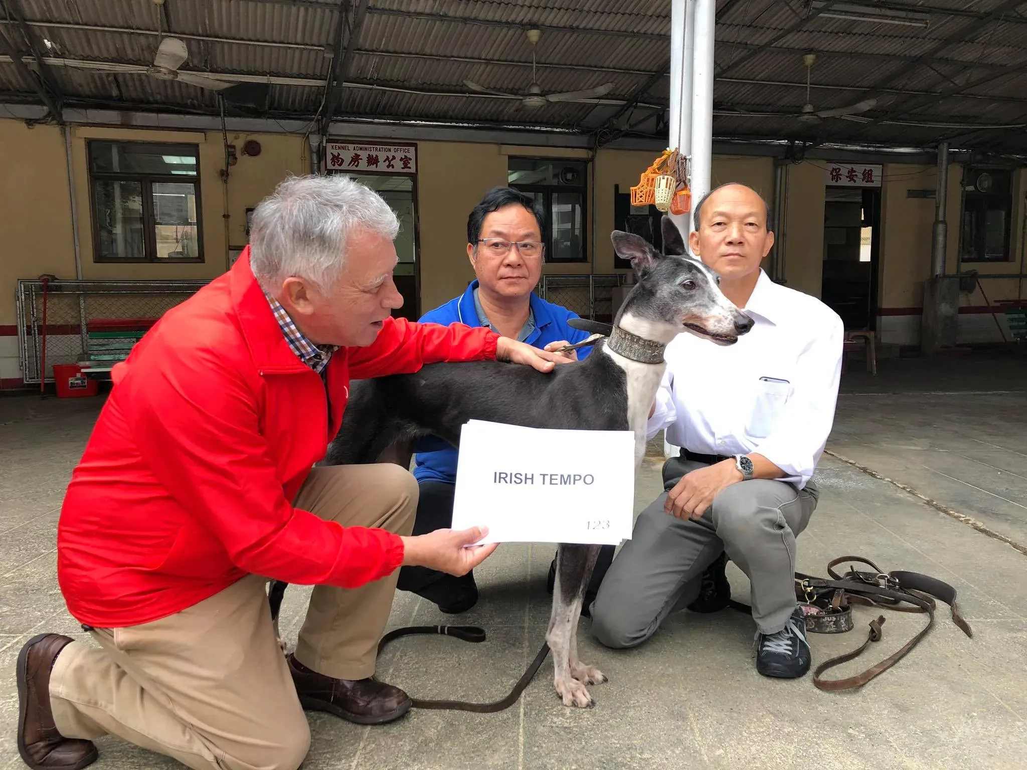 46815748 1801479366653418 8434574436513873920 o