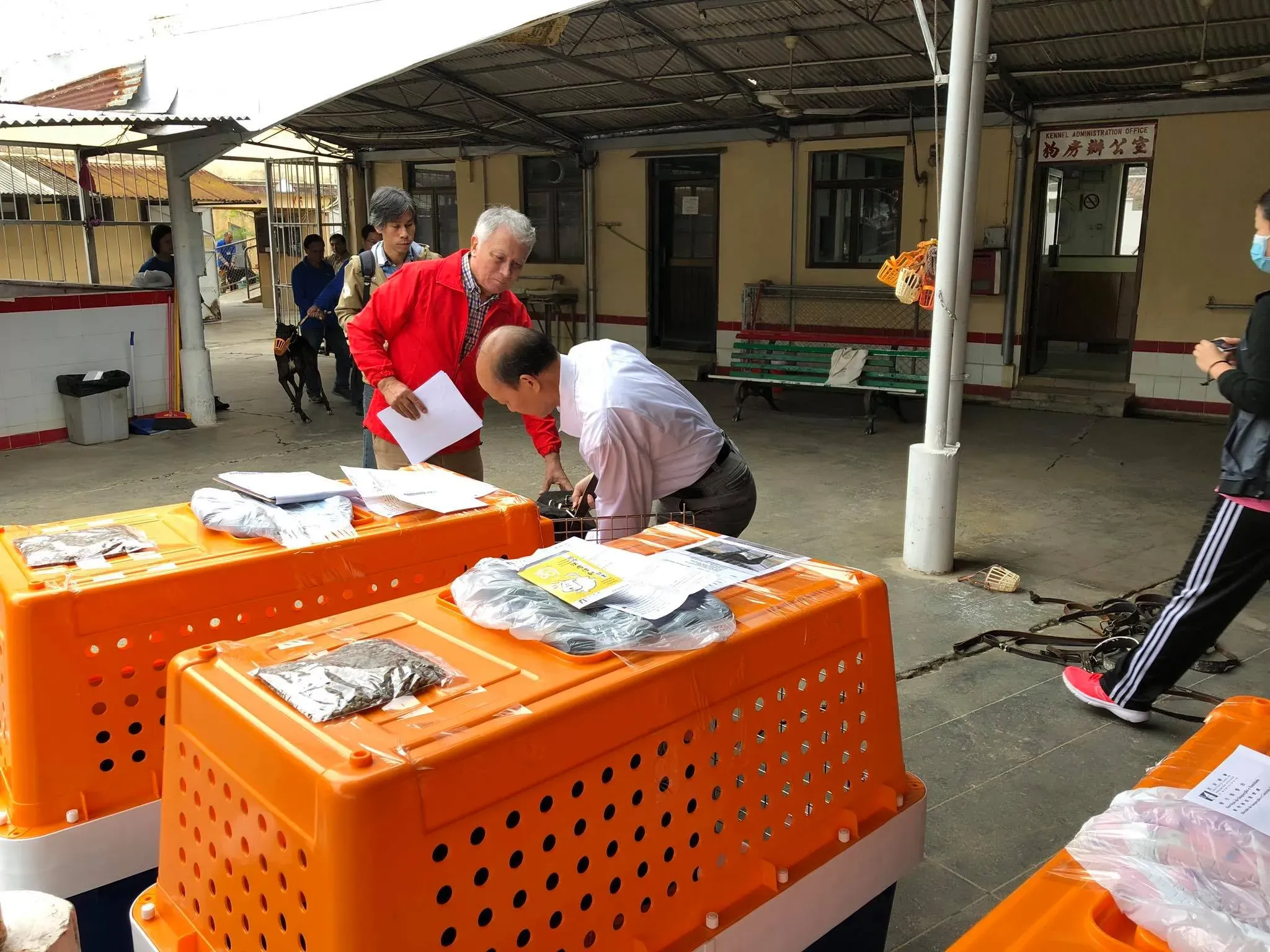 46885454 1801478769986811 1114428689145135104 o