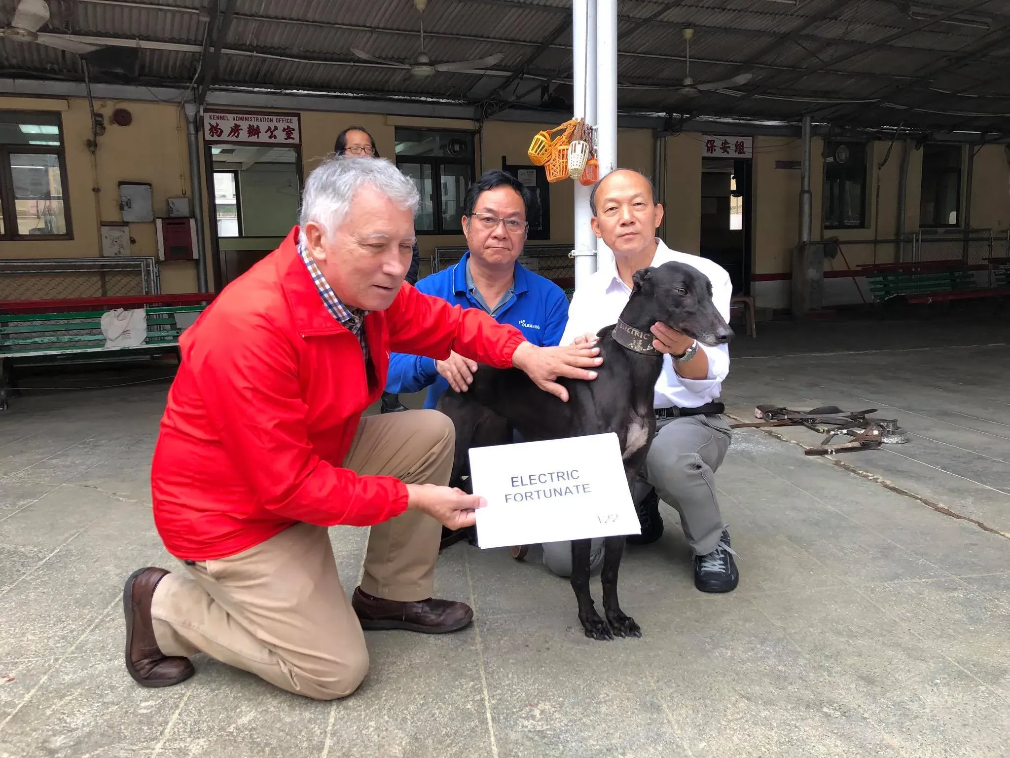 46893531 1801479166653438 1931461640713142272 o