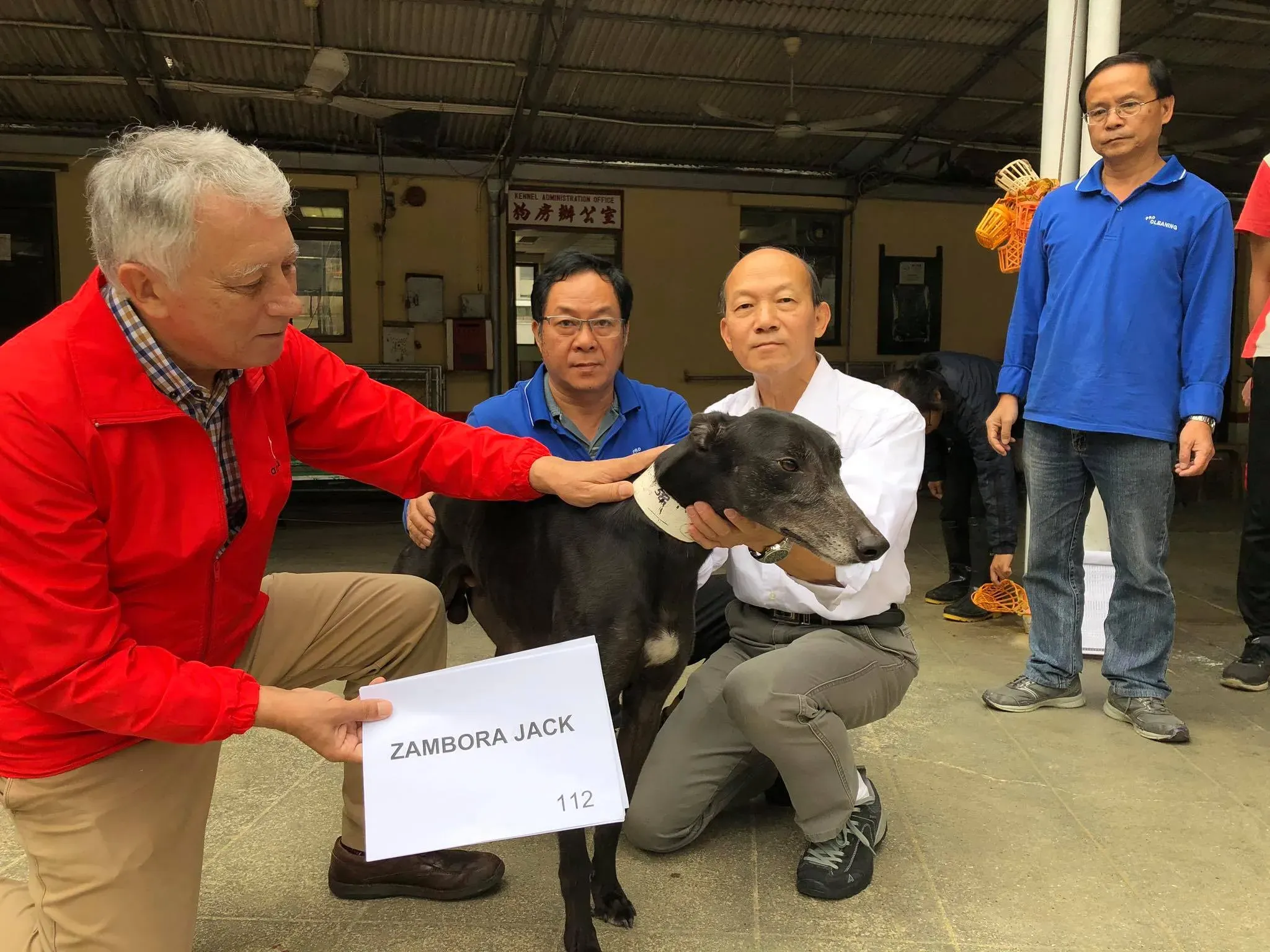 46931892 1801478263320195 820371829079146496 o