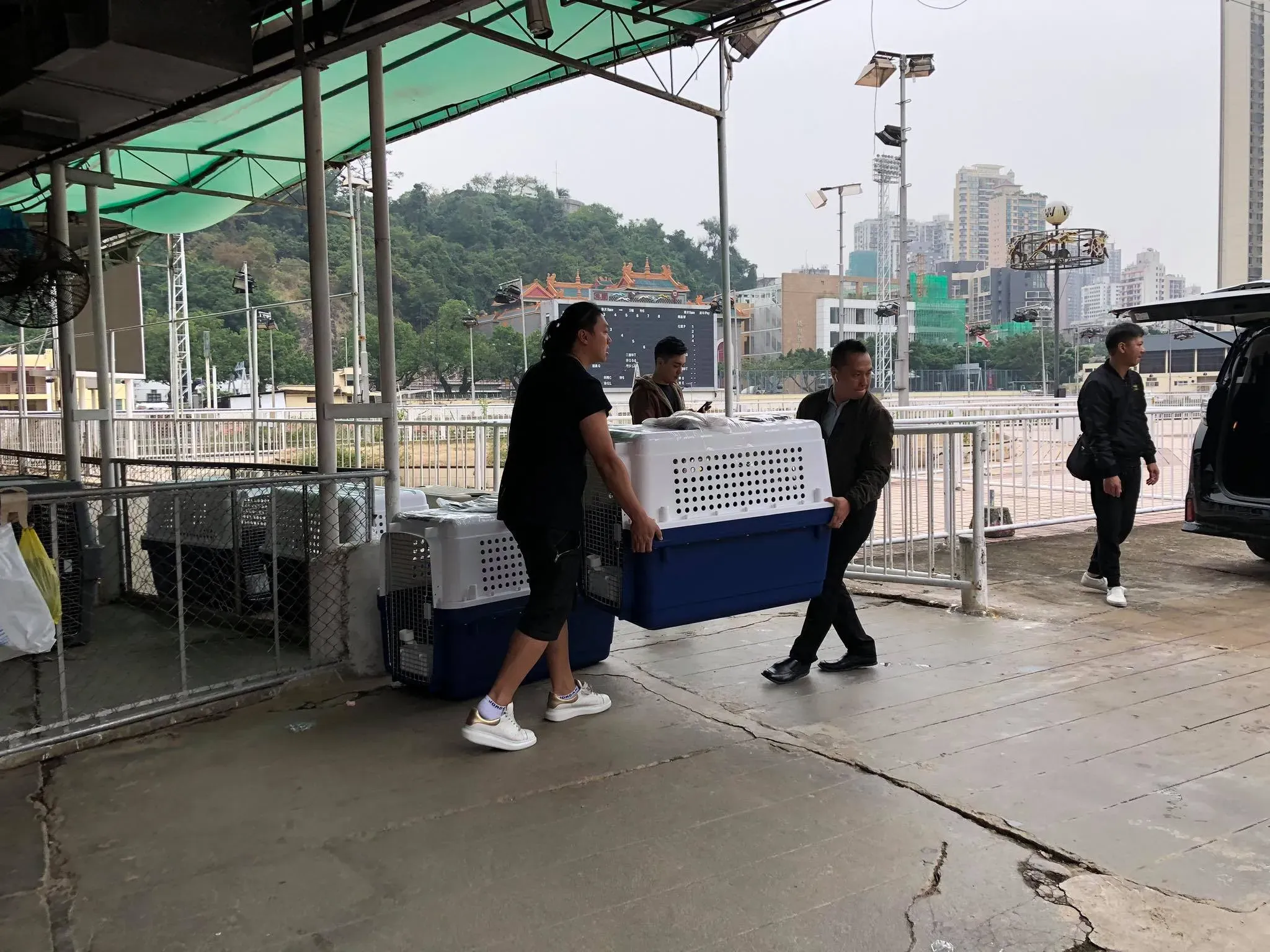 46941016 1801478299986858 6097564752303620096 o