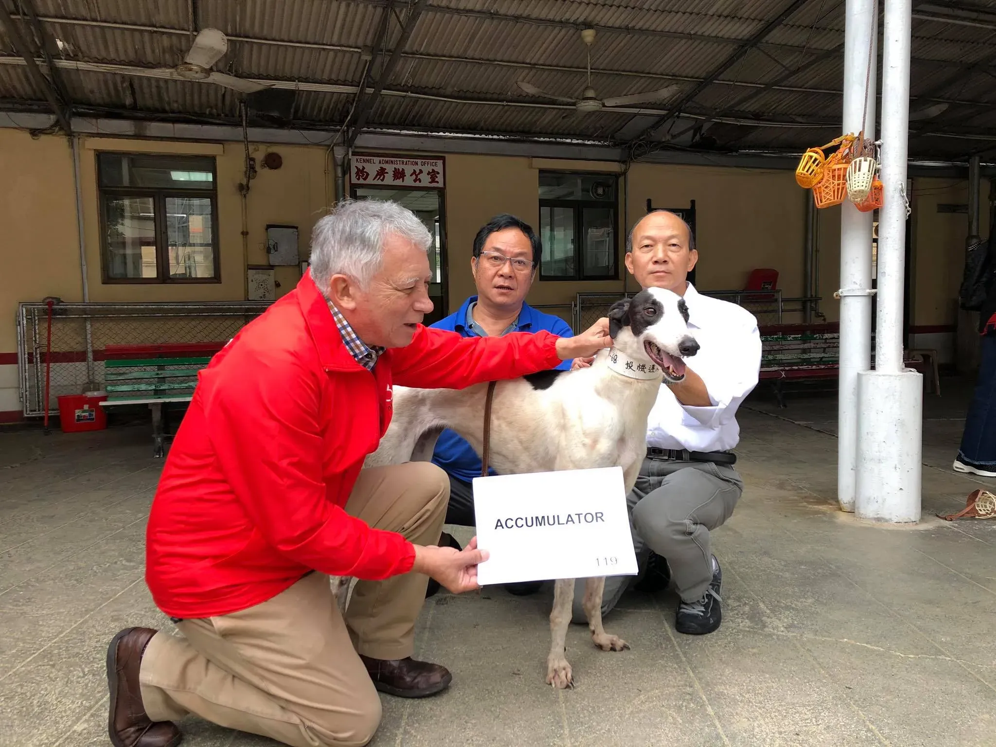 46979475 1801478963320125 6700912300527714304 o