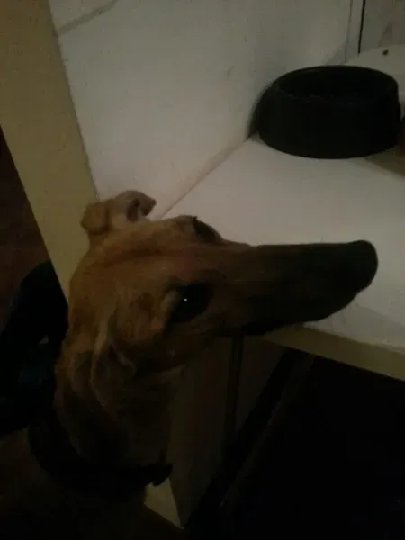 46f718eeb3ad611ac4a2d10aeedff59a