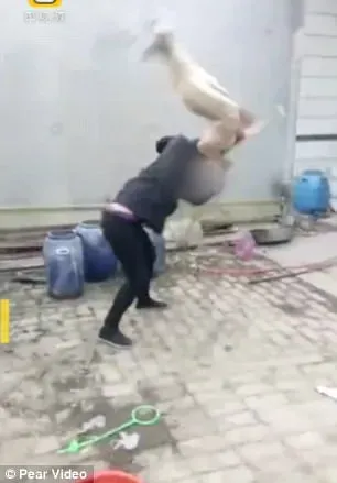 4700556400000578 0 image a 10 1512467807999