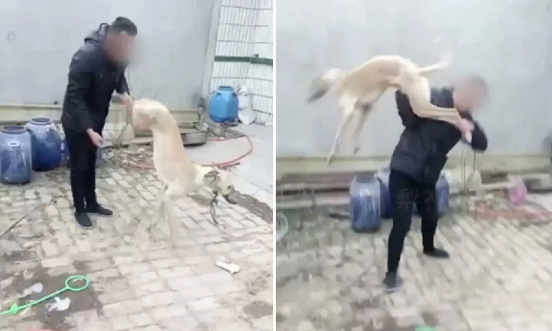 4700BC4D00000578 0 image a 35 1512469419178