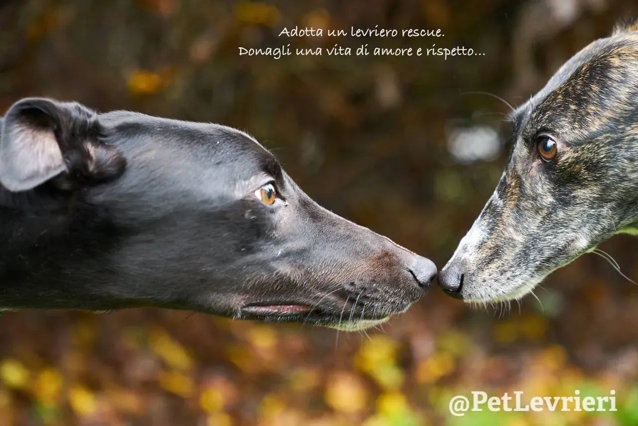 47036298 1994319290651916 1880011836632334336 o