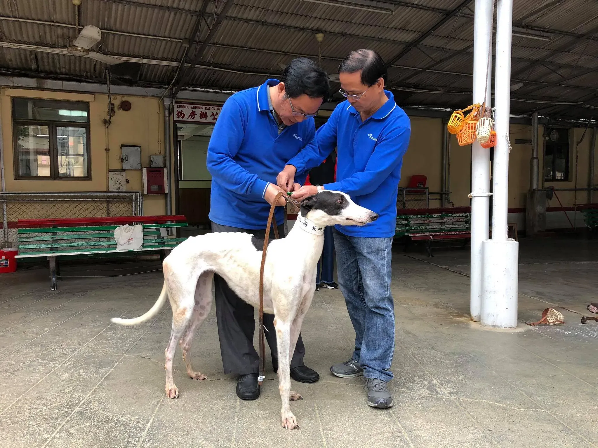 47077178 1801479036653451 8208101446650953728 o