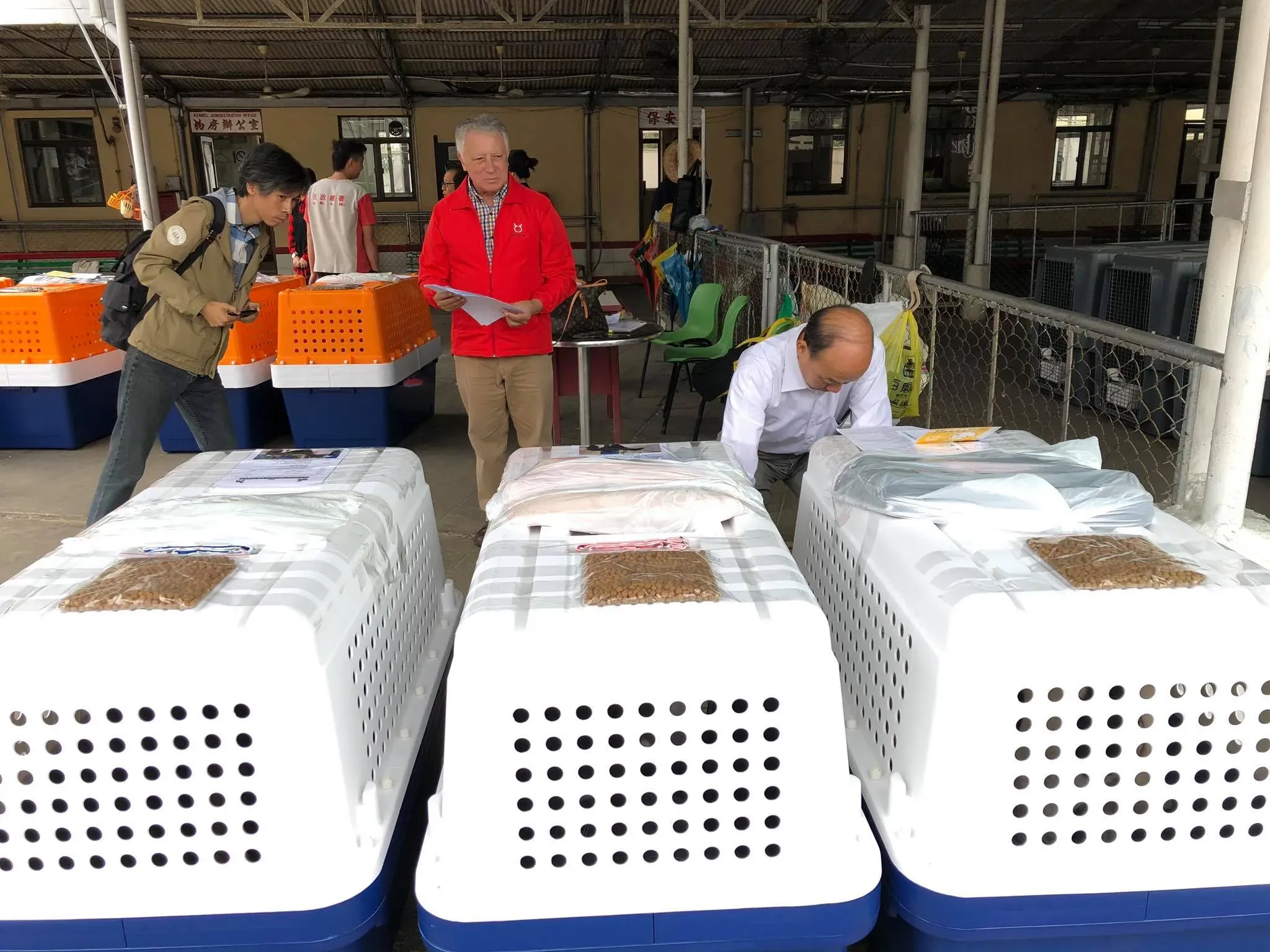 47097556 1801478976653457 8135729911978524672 o