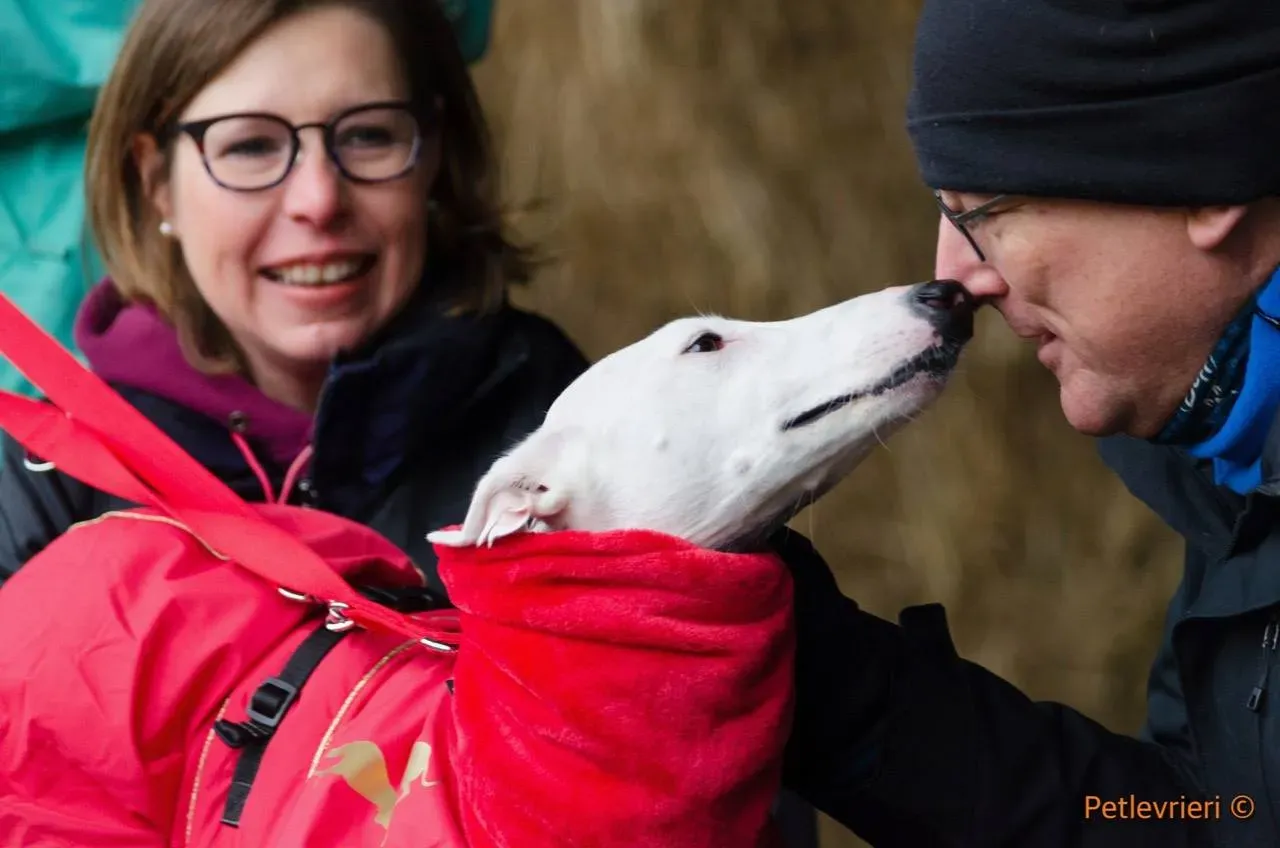 47173818 2003352633081915 2558824292414390272 o