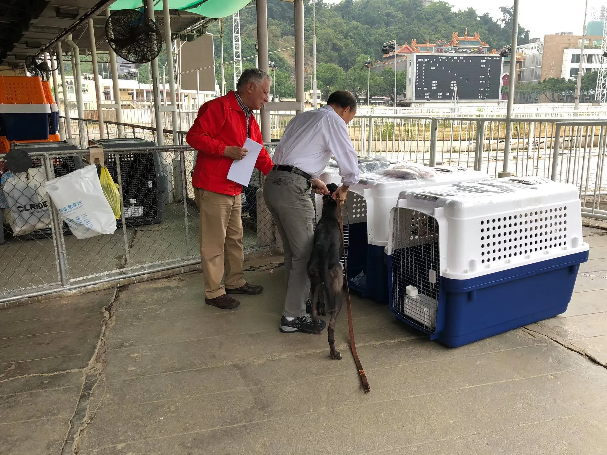 47213070 1801479116653443 4143349070640971776 o