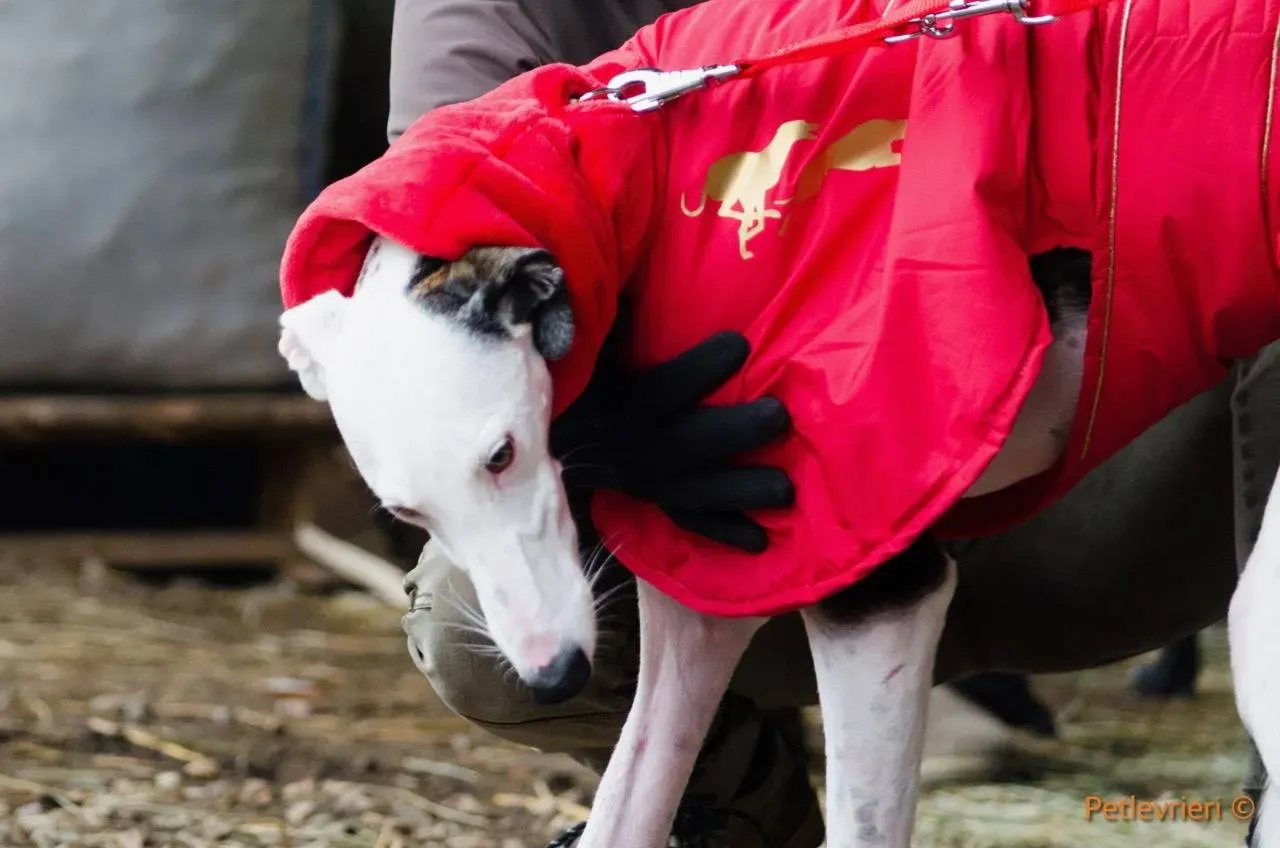 47266274 2003352476415264 8162729940416987136 o