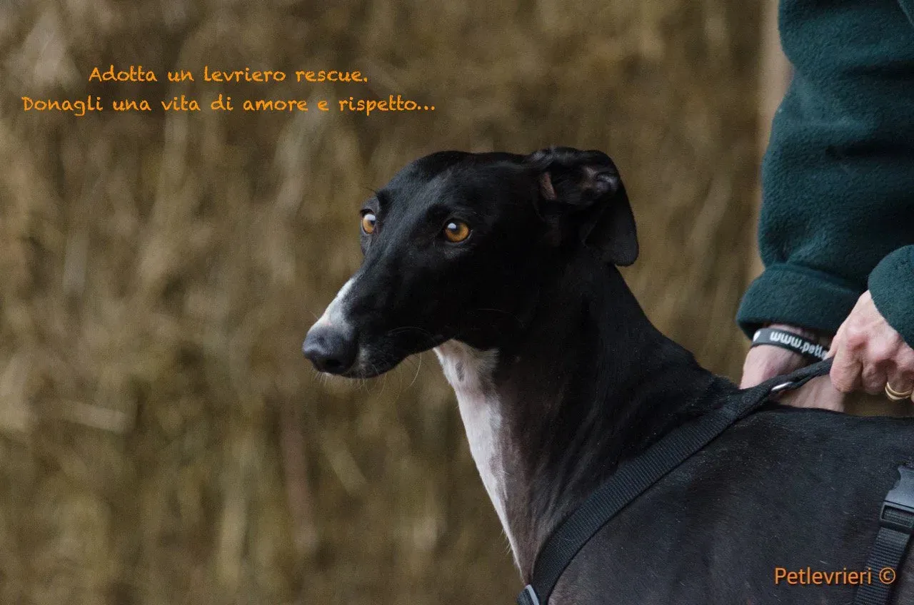 47292054 2003353629748482 6095693774355169280 o e1549728418928