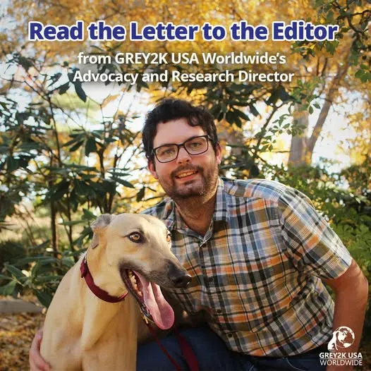 473042599 900211518944604 3425540892526402657 n