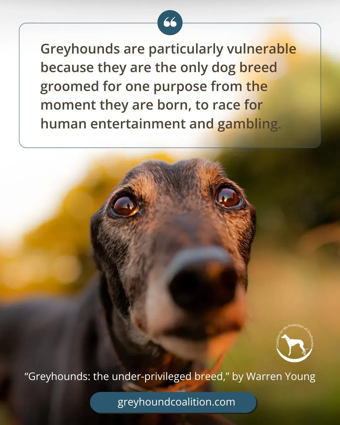 476274221 671548831872901 535980991135399166 n