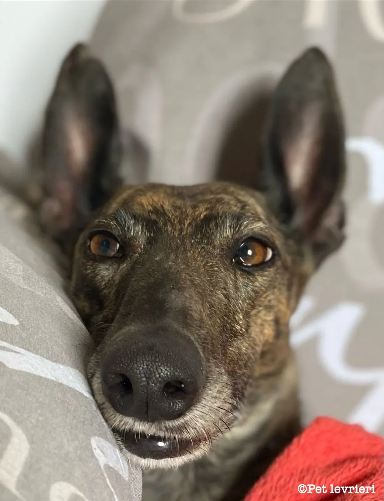 47B65E55 07F8 45E0 B539 AC19B24196AA