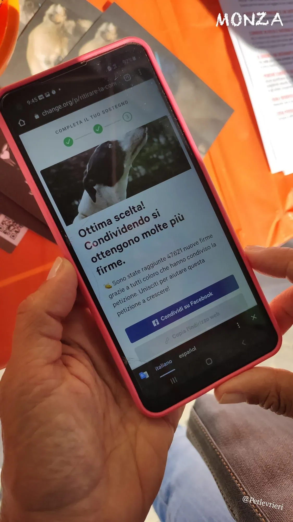 47a27c15 ee5a 4666 98fc 128f9690a42b risultato