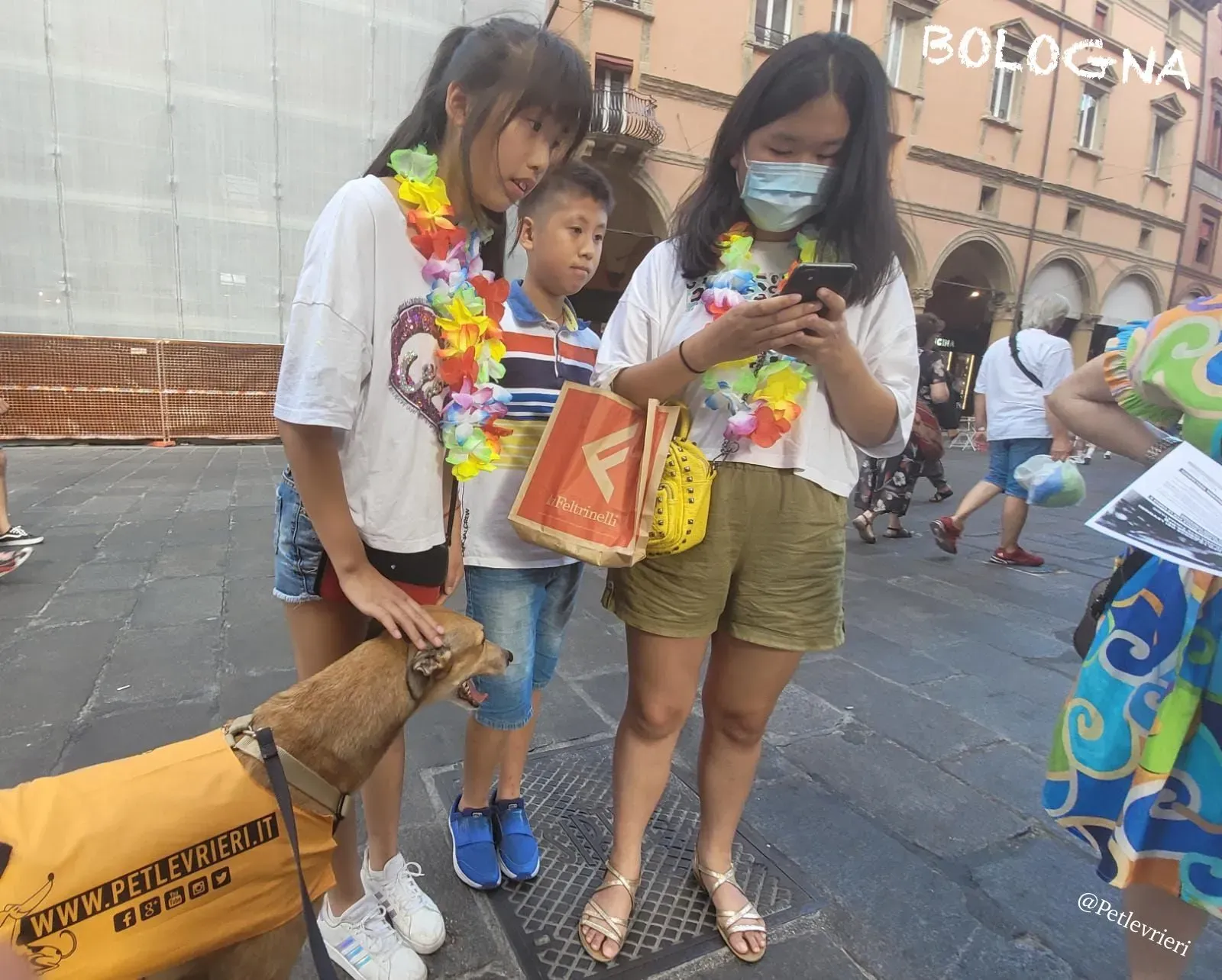 4816bdeb d06e 4c8c a835 5bbf09b6b044 risultato