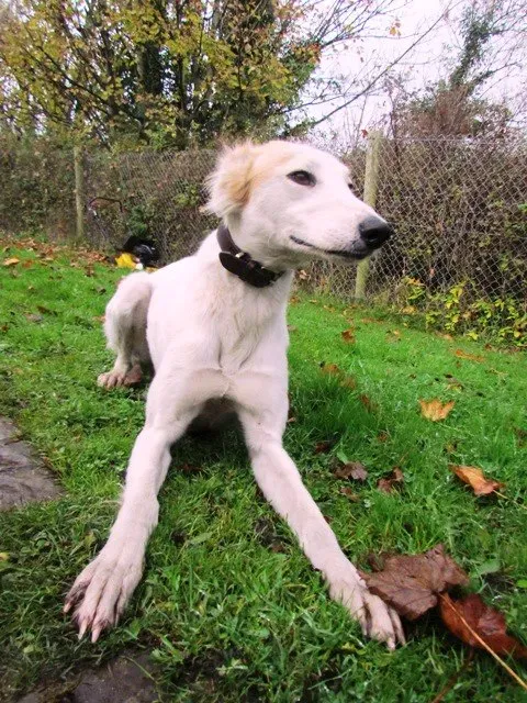 481893 495525073801363 416452986 n