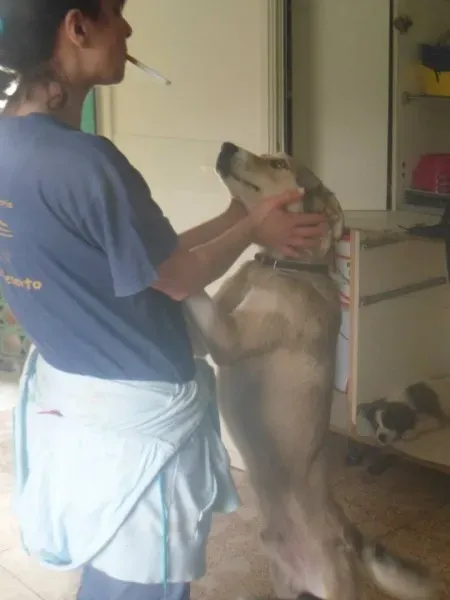 482457 10201075076861522 1491578987 n