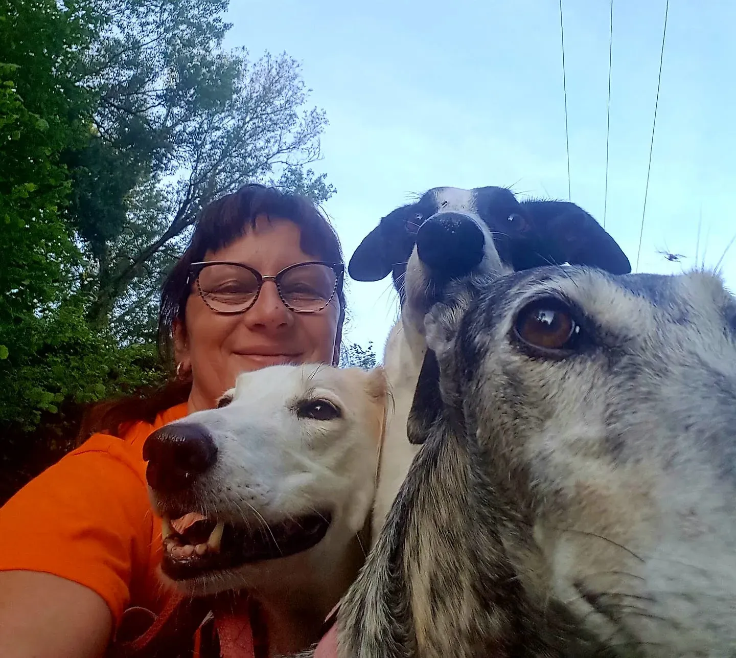 48269399 2095876883766015 6493540460454215680 o