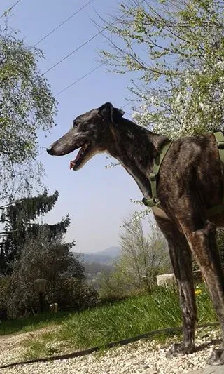 487445 10202891926410526 8456633489647437216 n