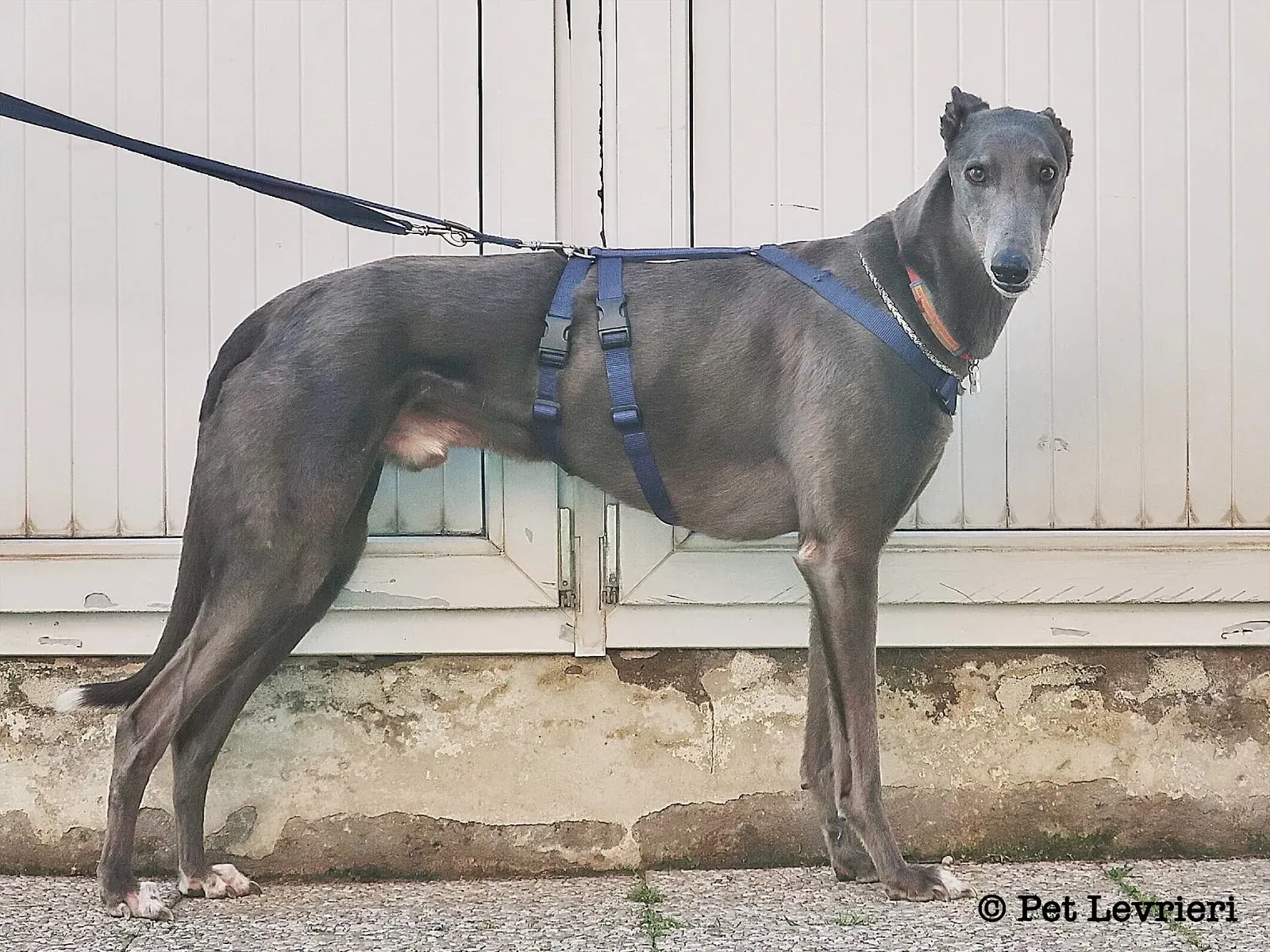 487757EF 725D 4972 9447 F169585DEFCE