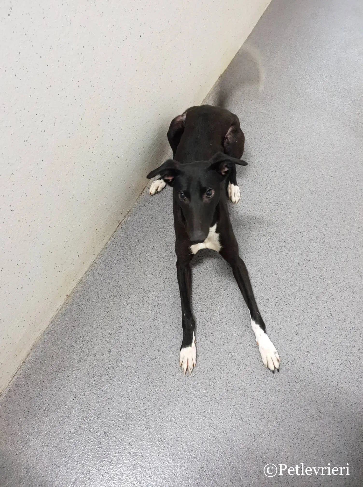 48935248 376593839800316 7742510619349221376 n