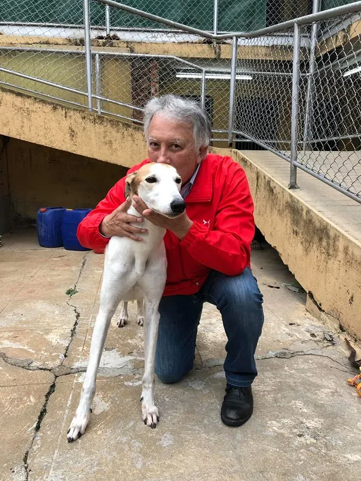 48957986 1855221014612586 8548923740291858432 n 1