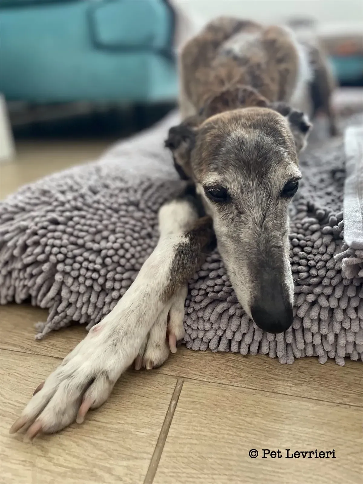 48D046E9 E7BB 4AE9 AA45 82ADE19CCD65