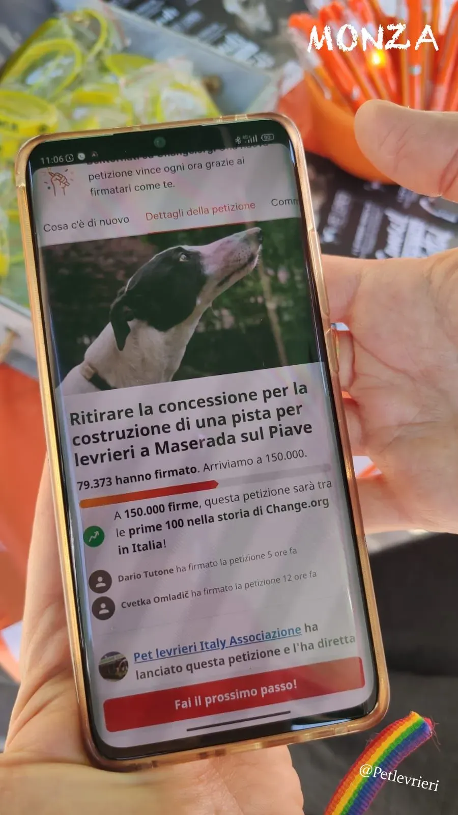 48bd702f 11cd 46f8 8c9b f15b1316a9bd risultato