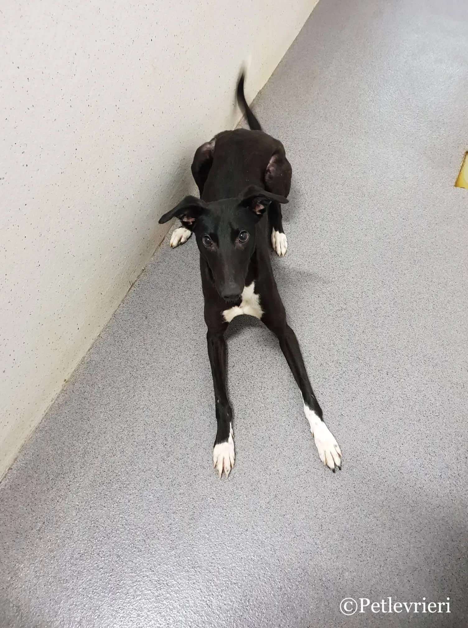 49001918 295101828015840 6266129509863391232 n