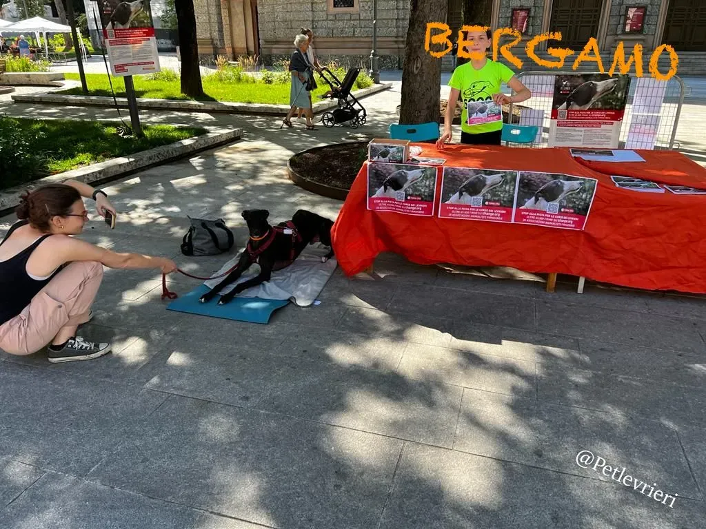 4901c291 5b47 44dc ba24 434a9517cbdd risultato