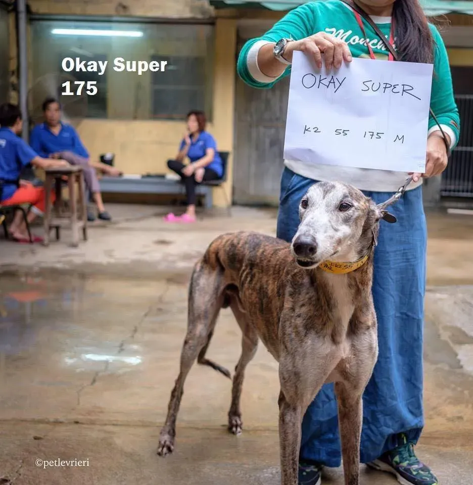 49135535 2051369191613592 2599599951713402880 n