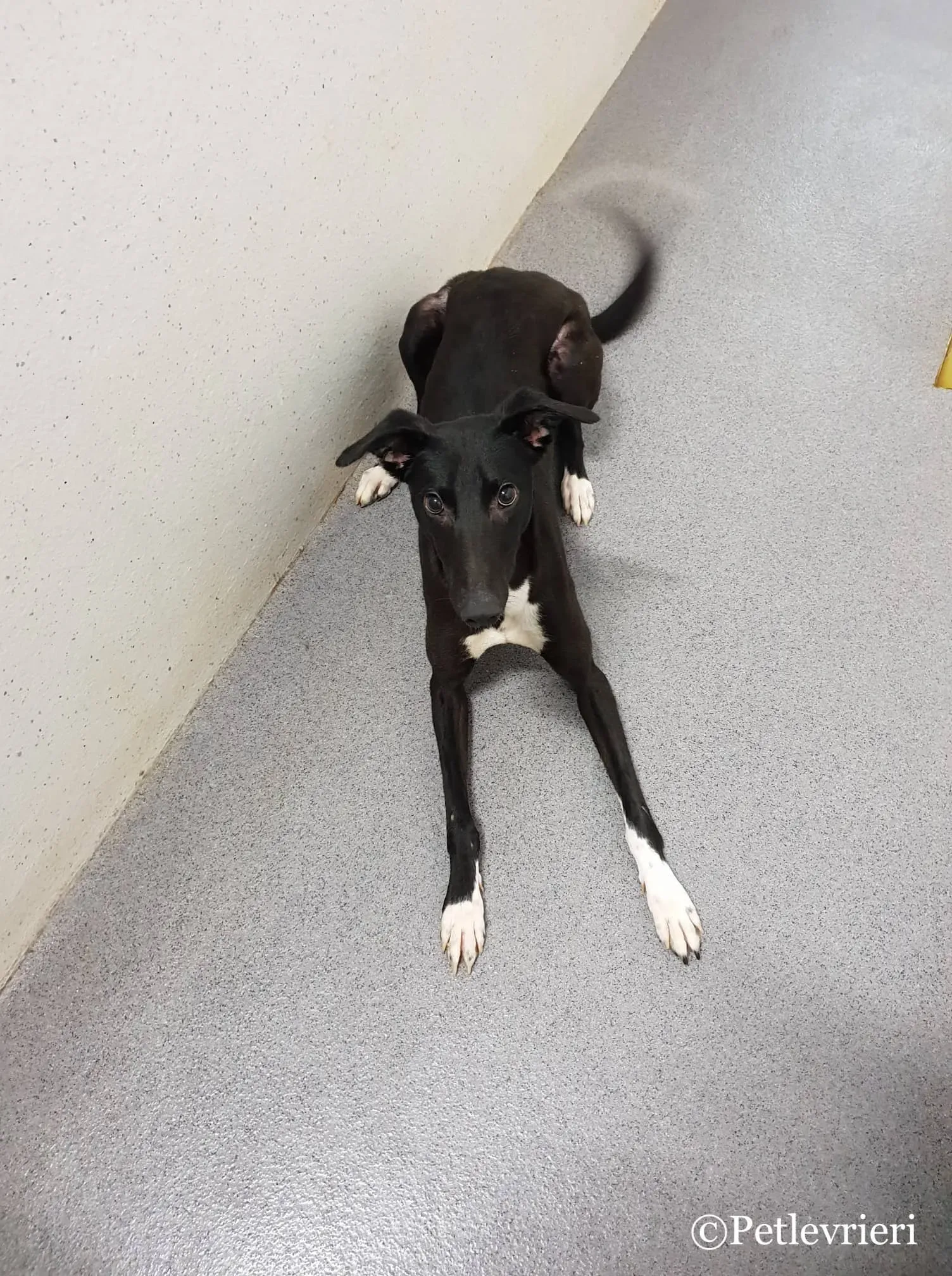 49153930 2007908766171660 681182380081283072 n