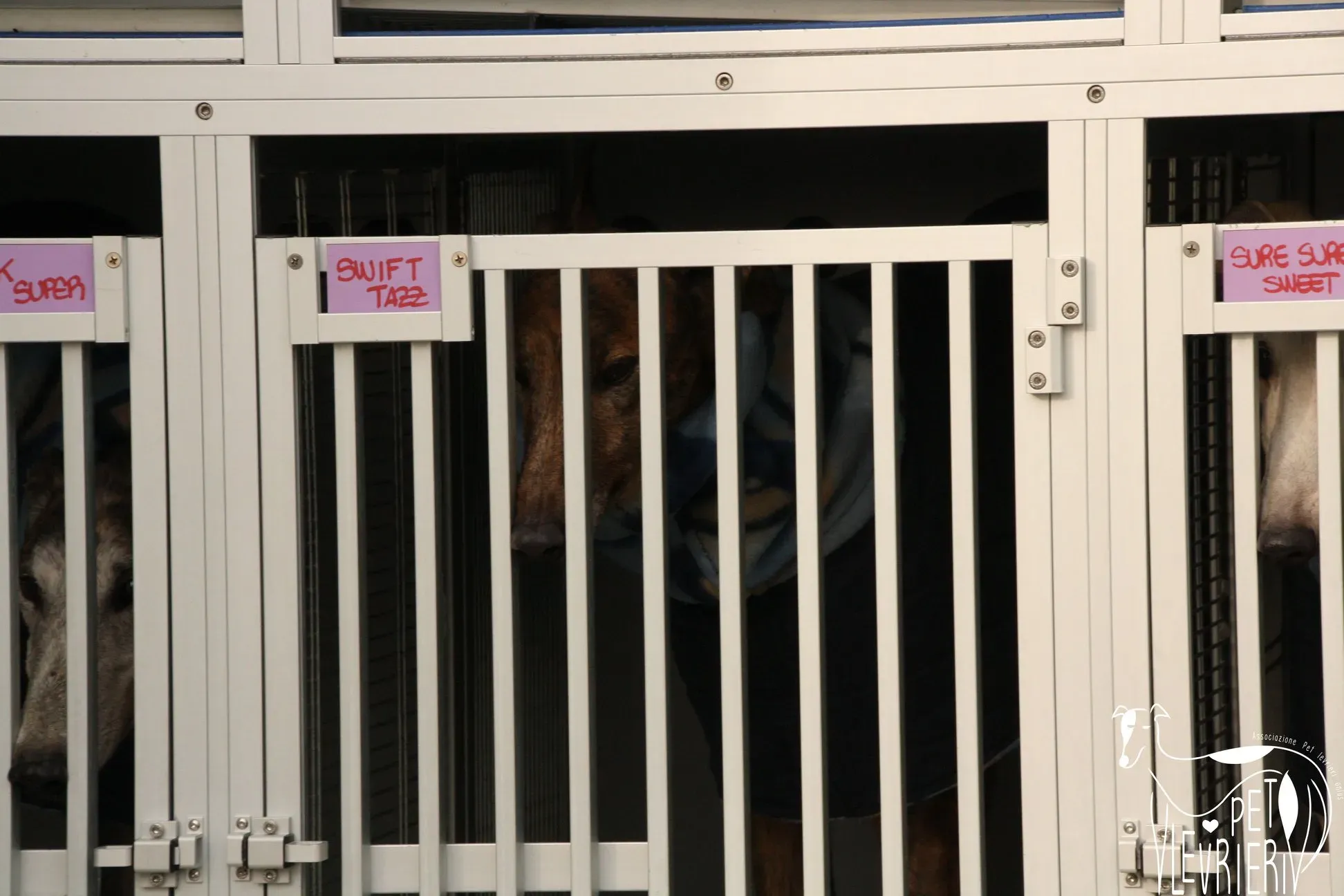 49234240 2054524241298087 176701538742304768 o