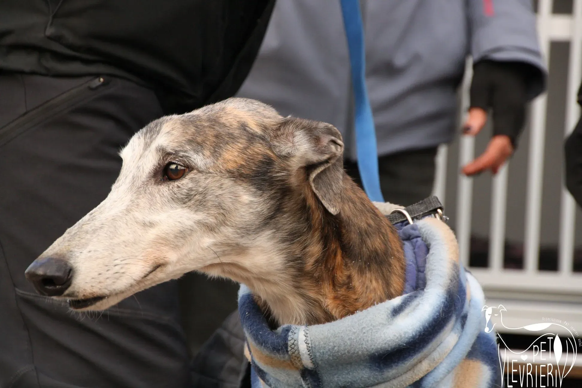 49250818 2054525761297935 3756871115729797120 o