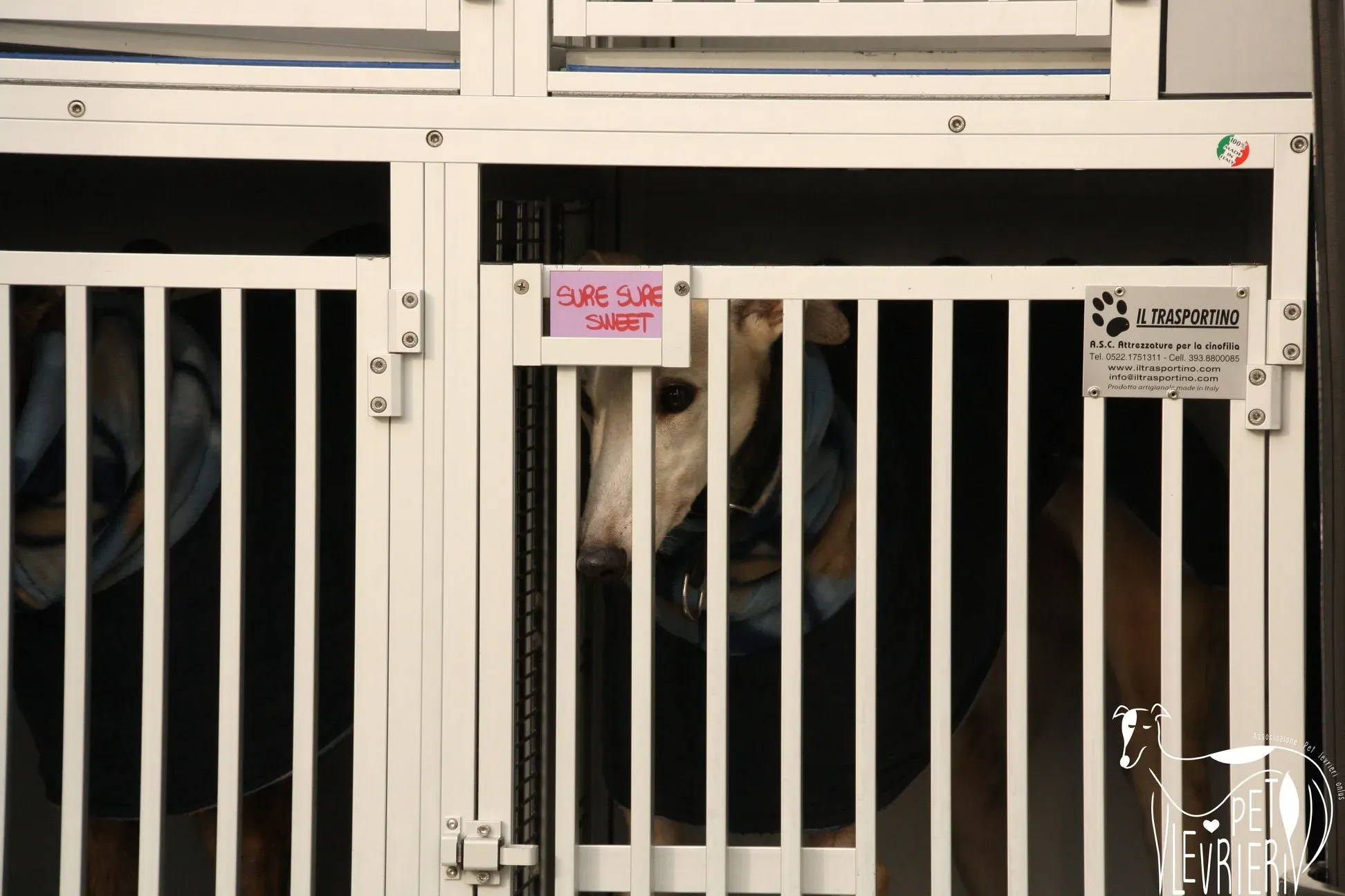 49276773 2054524231298088 1542812386560311296 o