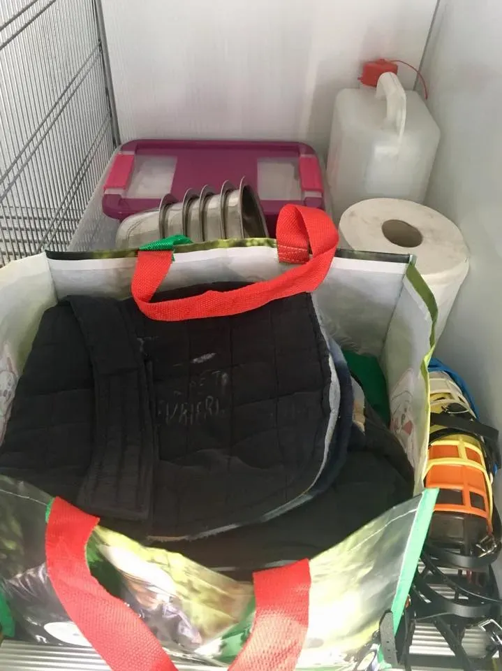 49285359 2053074474776397 4034996924187672576 n