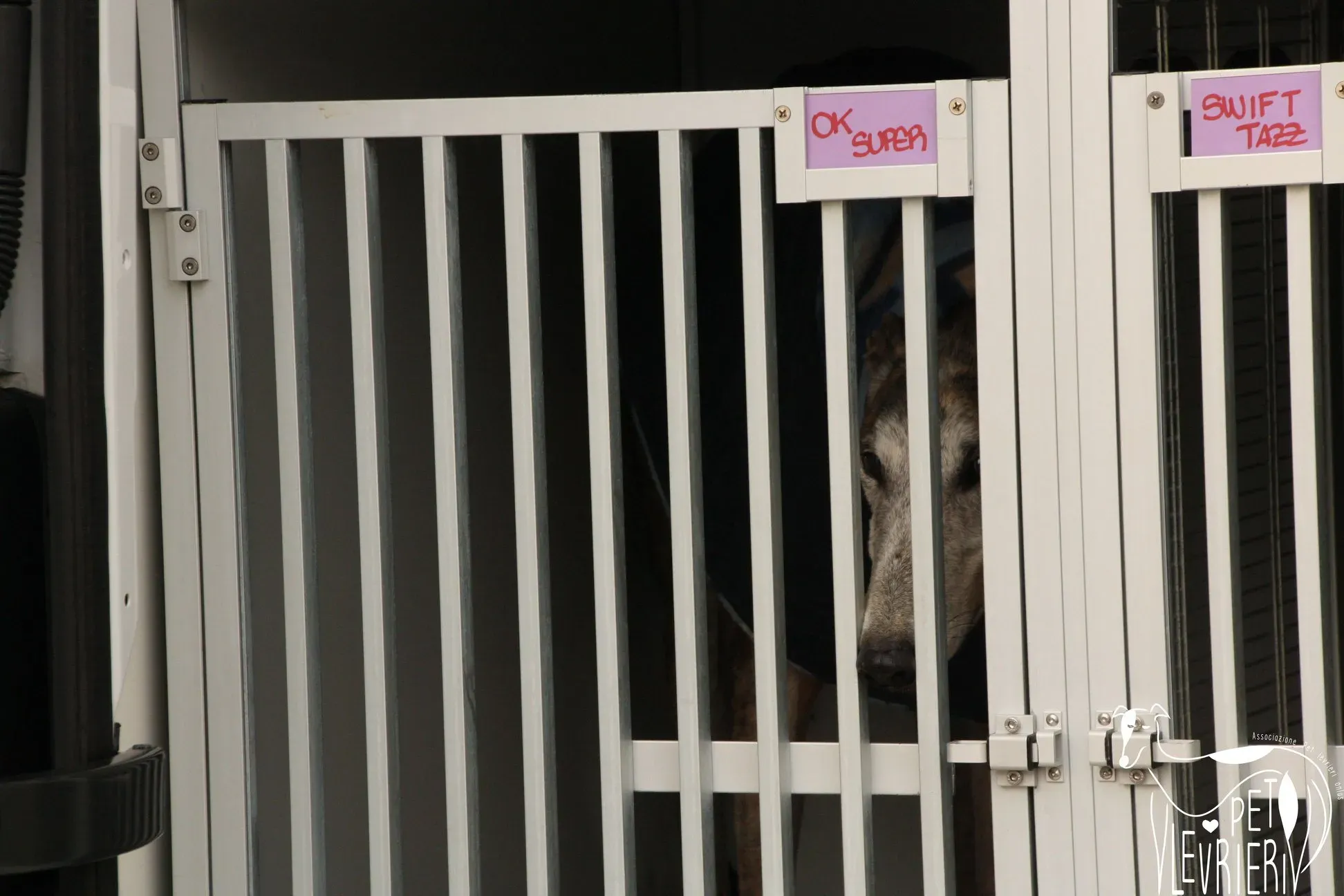 49336089 2054524311298080 2447635470385938432 o