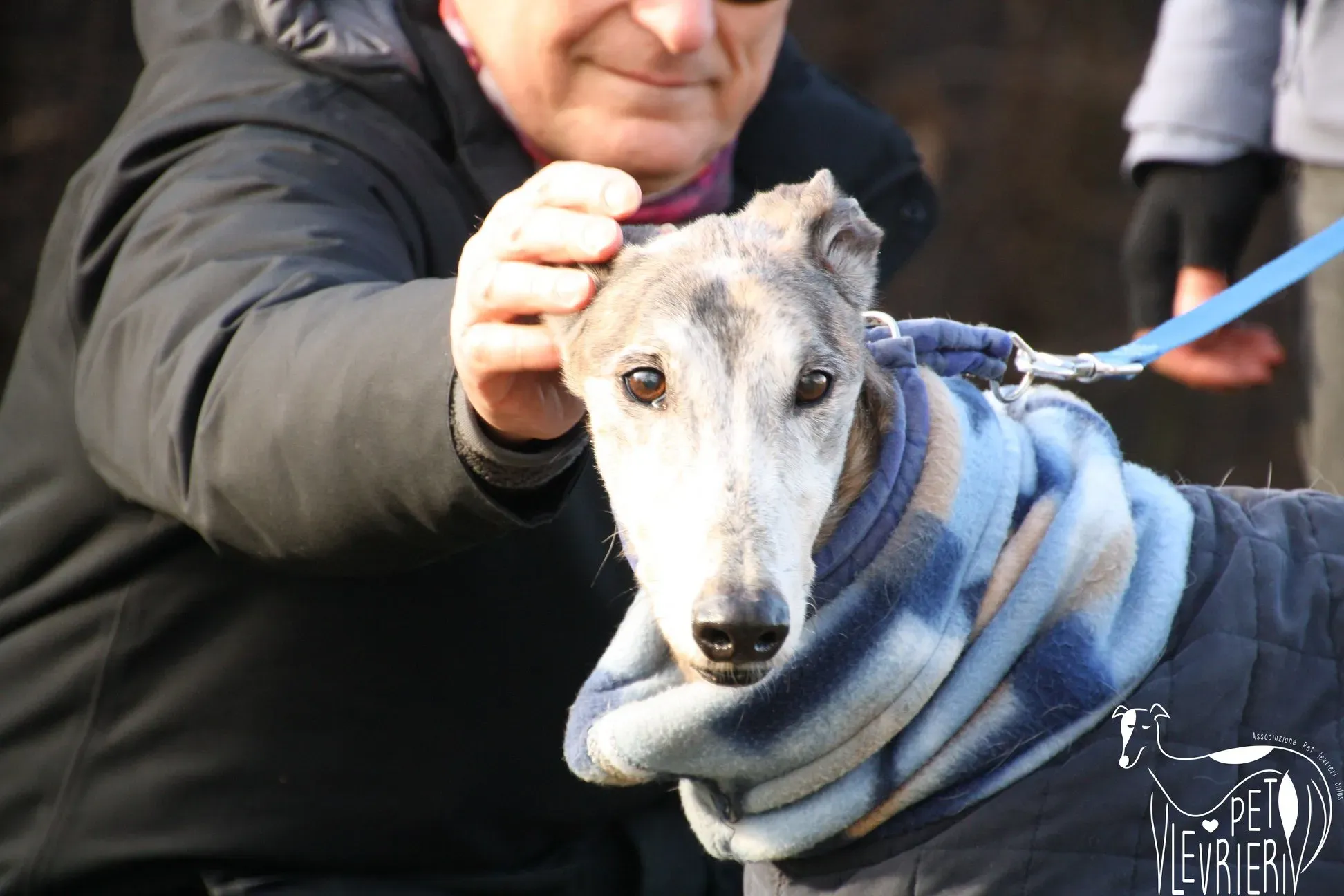 49344404 2054525327964645 7703534482627756032 o