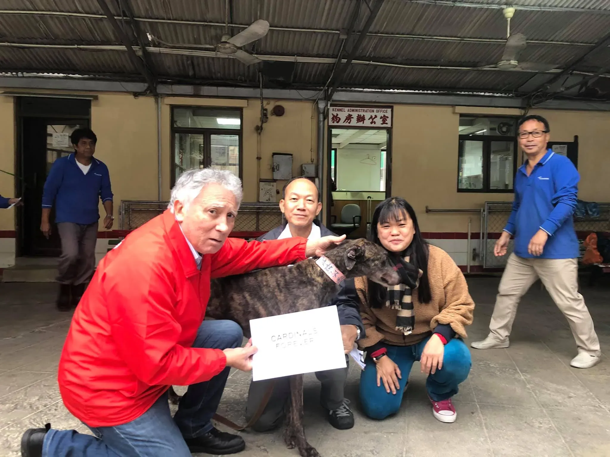 49351365 1855221037945917 5538143071566299136 o