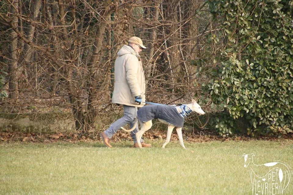 4935643C FDDC 41AD B62D 8F63DB245718