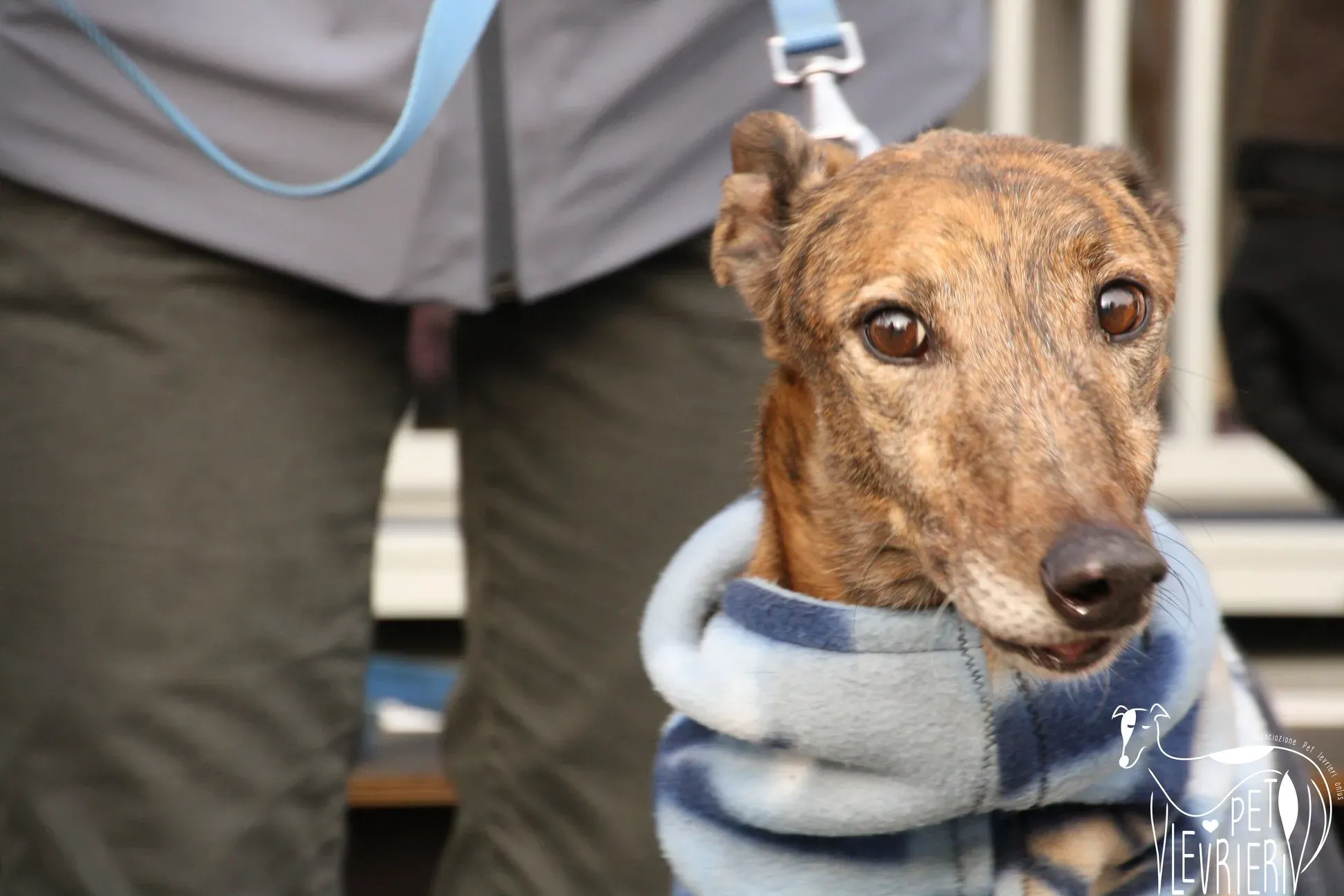 49398549 2054524501298061 3225142568073297920 o