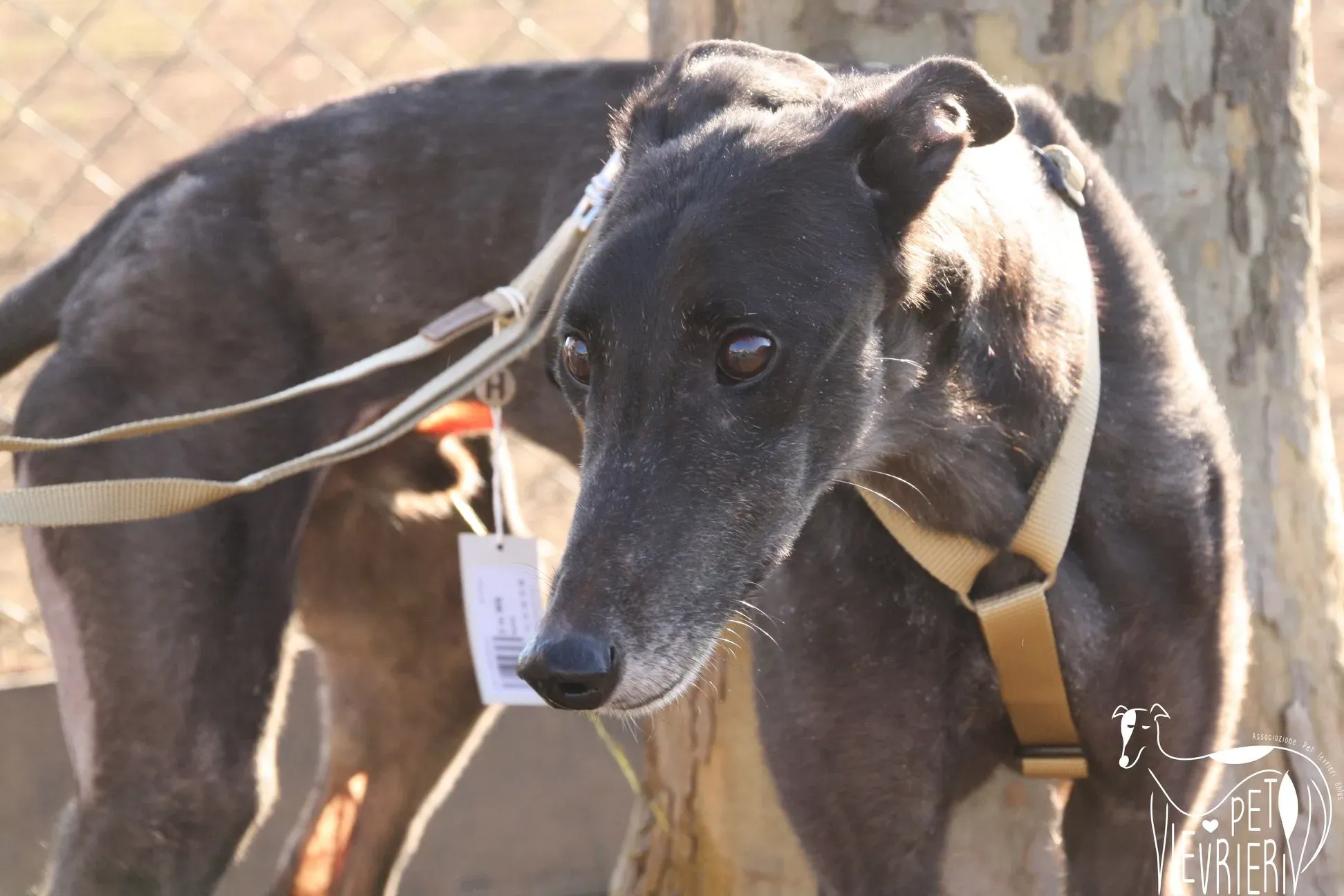 49436044 2085881931495651 5675733306671366144 o