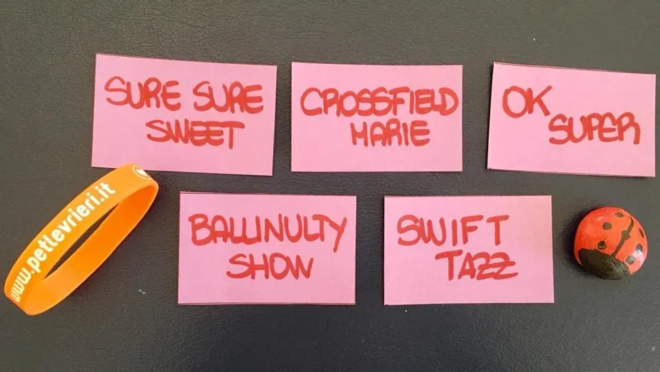 49442013 2053074381443073 3314821635537633280 n 1