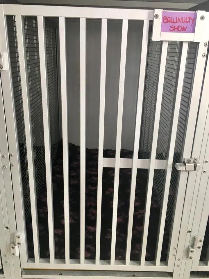 49457204 2053074654776379 5190172552185511936 n