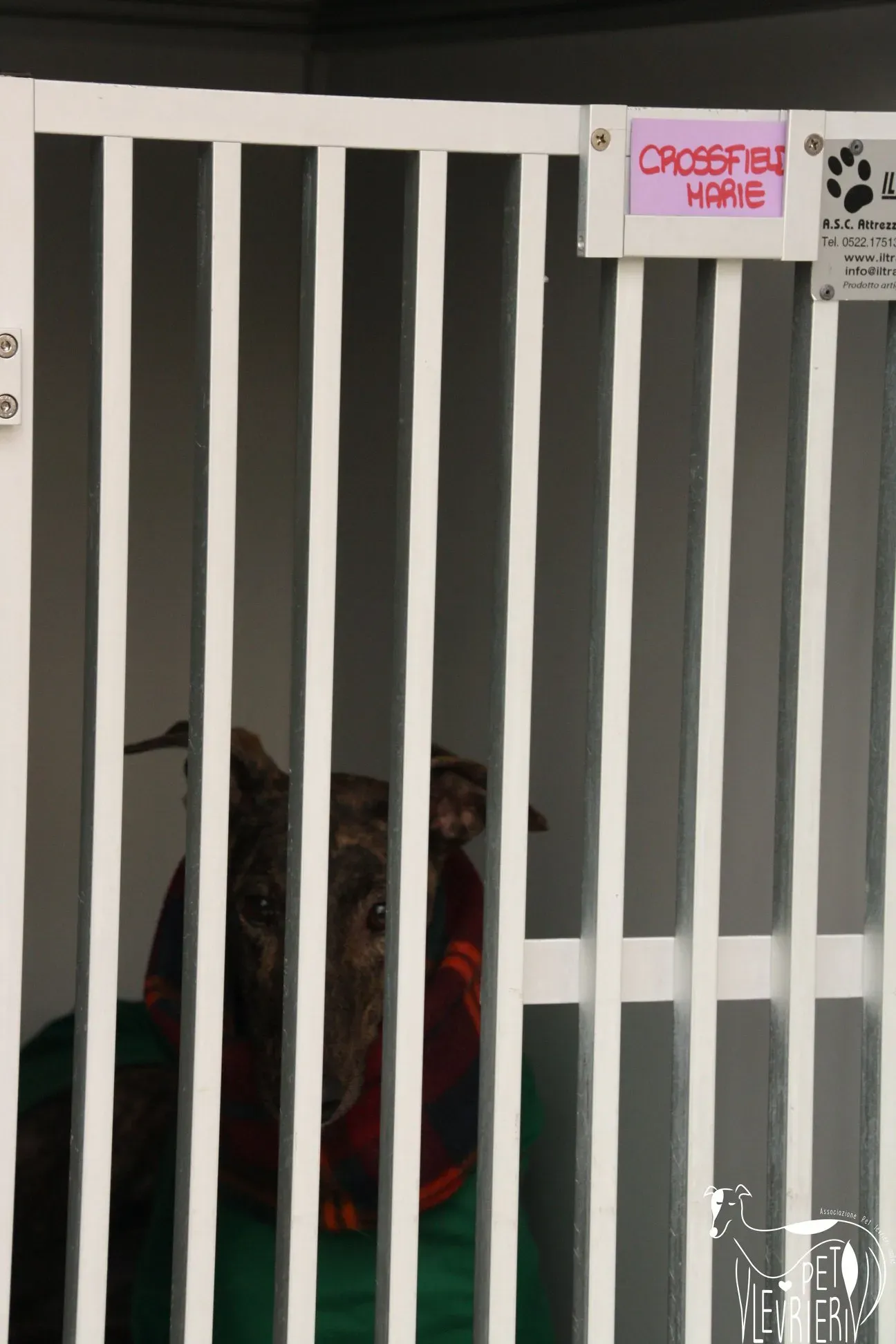 49465108 2054524337964744 5181636012626935808 o