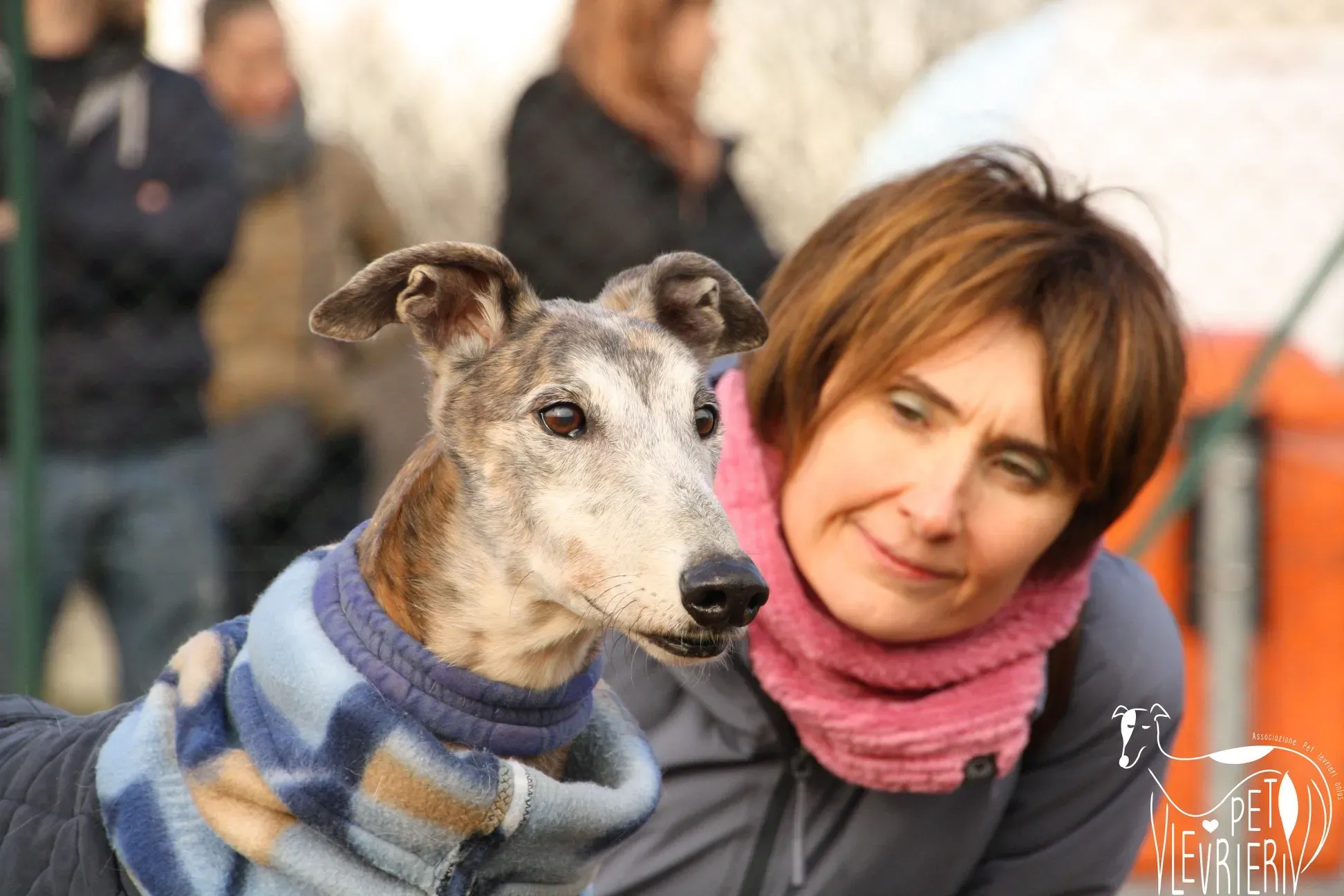 49465165 2054524991298012 2212081751428169728 o